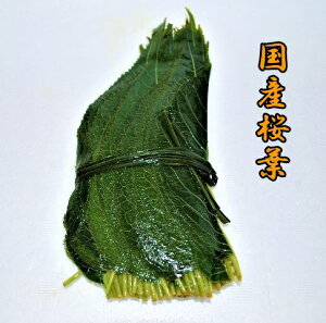 yz̗tЂ@肪Ⴄ@ɏ㍑YtЂ501܁yYztЂi50j①