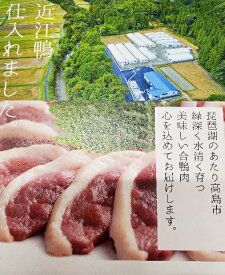 【国　産　近　江　鴨】合鴨 鴨肉 合鴨 合鴨肉 鴨ロース 肉 あいがも アイガモ 合鴨 焼肉 鴨南蛮 鴨鍋サイズ700g～800gダキ身