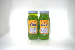 【送料無料】青銀杏 ビン詰め 水煮(業務用)青ぎんなん水煮2本セット