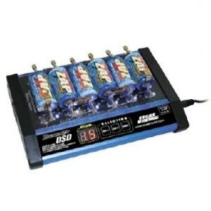 C[O͌^ fW^ DSD fBX`[W[ 3A 2898