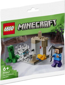 SiLEGO) }CNtg ߓ ~jZbg 30647