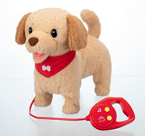 C(IWAYA) ttỸIV[k ۃgo[ dqybg ʂ 3251-2