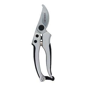 OR[|[V sita n[hNbL ͂ A907