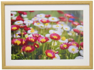 FUJICOLOR ؐz M20 A4 ؒn 407833