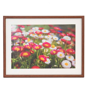 �t�W�J���[ FUJICOLOR �ؐ��z�� M21 ���C�h4�� �u���E�� 407901