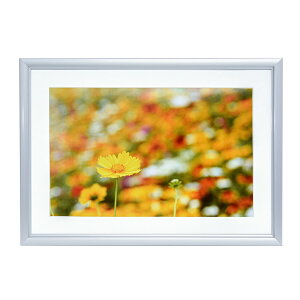 FUJICOLOR アルミ額縁 A32 ワイド6切 シルバー 306631