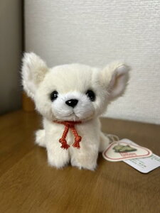 ̂ LfBtHe[k ` AC{[ ʂ 48232