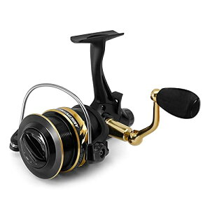 Ashconfish _uu[LXsjO[ Enh [ y R p ނ Wނ Cނ 4000 500