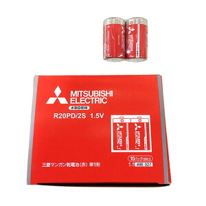 R20PD2S �O�H �}���K�����d�r �P1�` �� 20�{�Z�b�g R20PD/2S