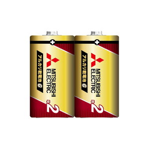 LR14GR2S �O�H �A���J�����d�r �P2�` 2�{�p�b�N LR14GR/2S