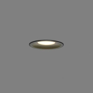 LEDD87053LKLS ���� �_�E�����C�g ���ω΍\���Ή� ��������100 ���M�����100W�N���X �d���F 2700K �h�J�h���^ LEDD87053L(K)-LS