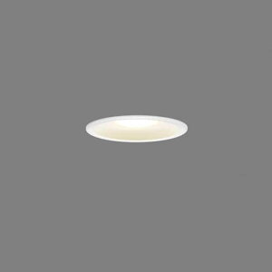 LEDD87053LWLS ���� �_�E�����C�g ���ω΍\���Ή� ��������100 ���M�����100W�N���X �d���F 2700K �h�J�h���^ LEDD87053L(W)-LS