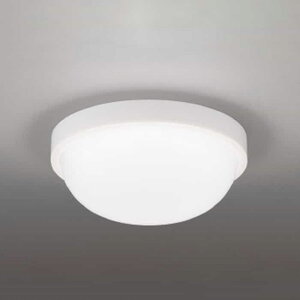 LEDG87910NLS ���� ������ �����V�[�����O���C�g �u�������30W�N���X �����F 5000K �h�J�h���^ LEDG87910N-LS