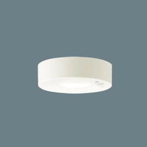 LGBC58064LE1 �p�i�\�j�b�N �_�E���V�[�����O���C�g ���M�����60W���� �����F