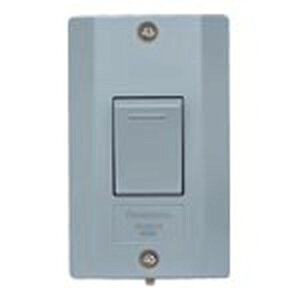 WS60219H �p�i�\�j�b�N �h�������X�C�b�`B �А� 15A300V ���C�g�O���[