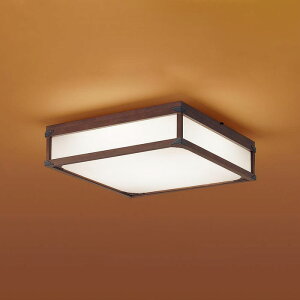 LGC45823 �p�i�\�j�b�N �V�[�����O���C�g �����R���t �`10���p �d���F�`�����F �����E���F�\ ���|�V�[�����O�^�C�v