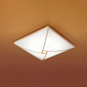 LGC45828 �p�i�\�j�b�N �V�[�����O���C�g �����R���t �`10���p �d���F�`�����F �����E���F�\ ���|�V�[�����O�^�C�v