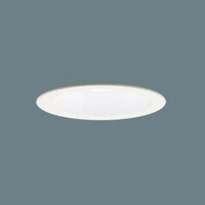 LGD3110NLB1 �p�i�\�j�b�N �_�E�����C�g ��������100 ���M�����100W���� �����F 5000K �����\