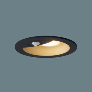 LGDC1105LLE1 �p�i�\�j�b�N �_�E�����C�g �y�A�_���\�^ ���邳�Z���T�t ��������100 ���M�����60W���� �d���F