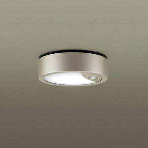 LGWC51542LE1 �p�i�\�j�b�N �����V�[�����O���C�g ���邳�Z���T�t �y�A�_���\�^ ���M�����100W���� �����F �h�J�^