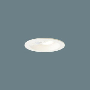 LRDC1143LLE1 �p�i�\�j�b�N �_�E�����C�g ��������100 ���M�����60W���� �d���F �h�J�^