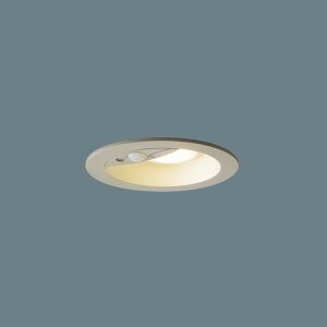 LRDC1145LLE1 �p�i�\�j�b�N �_�E�����C�g ��������100 ���M�����60W���� �d���F �h�J�^