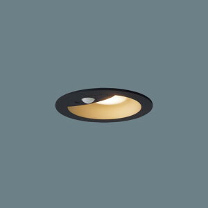 LRDC3141LLE1 �p�i�\�j�b�N �_�E�����C�g ��������100 ���M�����100W���� �d���F �h�J�^