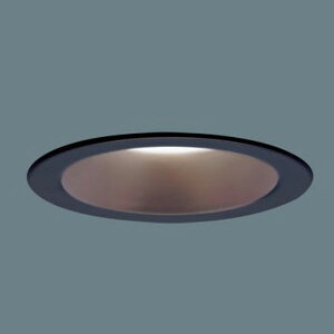 LGD1109VLE1 �p�i�\�j�b�N �_�E�����C�g ���ω΍\���Ή� ��������100 ���M�����60W���� �����F