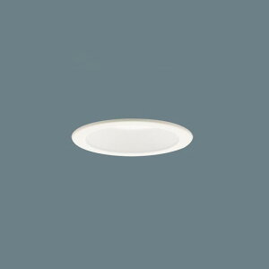 XSLD1005KCQ1 �p�i�\�j�b�N �_�E�����C�g XAD11004KCQ1�����i ���ω΍\���Ή� ��������100 ���M�����60W���� �����F �����F ���F�ؑ։\