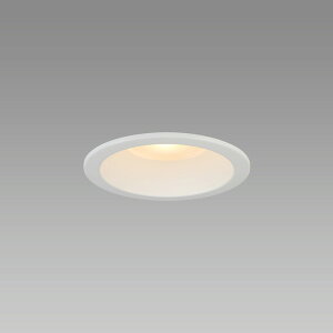 MRD06013RPBW1L1 �z�^���N�X �_�E�����C�g ���ω΍\���Ή� ��������100 ���M�����60W���� �d���F �h�H�^ MRD06013(RP)BW1/L-1