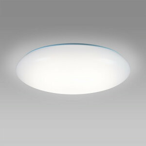 HLDC08301SG �z�^���N�X �V�[�����O���C�g �����R���t �`8���p �d���F�`�����F �������F�\ ���|�V�[�����O�^�C�v