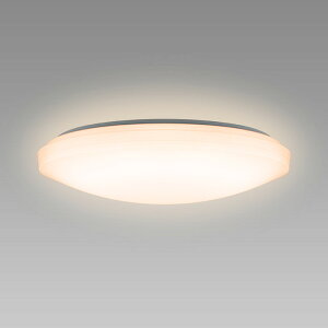 SLDZ08790L �z�^���N�X �V�[�����O���C�g �����R���t �`8���p �d���F �����\ ���|�V�[�����O�^�C�v