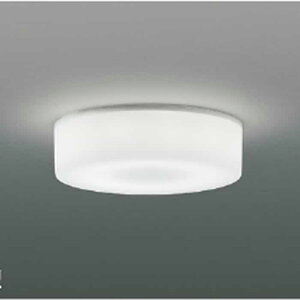 AH43692L �R�C�Y�~�Ɩ� ���^�V�[�����O���C�g ���M�����100W���� �����F