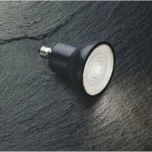 AE50508E �R�C�Y�~�Ɩ� LED�d�� �n���Q���d���^�C�v��50 65W�`���� �����F 5000K ����E11 �L�p