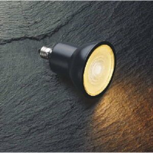 AE50511E �R�C�Y�~�Ɩ� LED�d�� �n���Q���d���^�C�v��50 40W�`���� �d���F 2700K �����Ή� ����E11 ���p