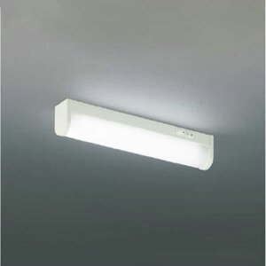 AB50428 �R�C�Y�~�Ɩ� �L�b�`�����C�g FL20W���� �����F