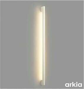 AB54014 �R�C�Y�~�Ɩ� �u���P�b�g���C�g FL40W���� �d���F �����\