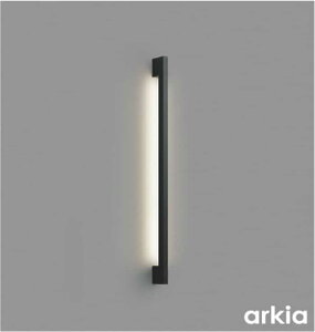 AB54024 �R�C�Y�~�Ɩ� �u���P�b�g���C�g FHF24W���� �����F �����\