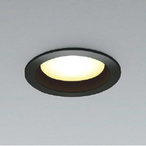 AD1202B27 �R�C�Y�~�Ɩ� �_�E�����C�g ��������100 ���M�����60W���� �d���F 2700K