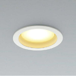 AD1202W27 �R�C�Y�~�Ɩ� �_�E�����C�g ��������100 ���M�����60W���� �d���F 2700K