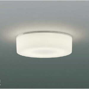 AH46473L �R�C�Y�~�Ɩ� ���^�V�[�����O���C�g ���M�����60W���� �����F