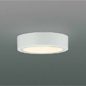 AH50425 �R�C�Y�~�Ɩ� �_�E���V�[�����O���C�g ���M�����60W���� �d���F