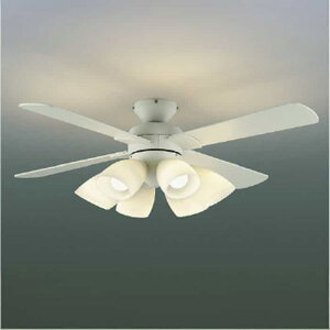 AM41906L �R�C�Y�~�Ɩ� �V�[�����O�t�@�� �����R���t �`10���p �d���F