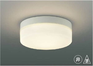 AR49373L �R�C�Y�~�Ɩ� �K�i�ʘH��퓔�E�U���� FCL20W���� �d���F �h�J�^