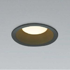 AD7250B27 �R�C�Y�~�Ɩ� �_�E�����C�g ���ω΍\���Ή� ��������100 ���M�����60W���� �d���F 2700K �U�� �h�J�h���^
