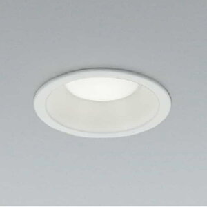 AD7251W50 �R�C�Y�~�Ɩ� �_�E�����C�g ���ω΍\���Ή� ��������100 ���M�����100W���� �����F 5000K �U�� �h�J�h���^