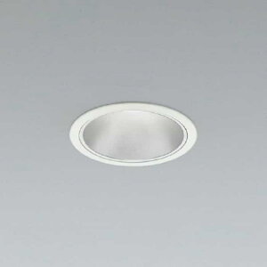 AD58294 �R�C�Y�~�Ɩ� �_�E�����C�g ��������100 FHT32W×2������ �����F 5000K 2500lm�N���X