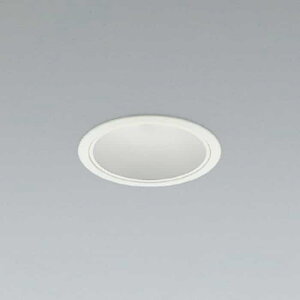 AD58298 �R�C�Y�~�Ɩ� �_�E�����C�g ��������100 FHT32W×2������ �����F 5000K 2500lm�N���X