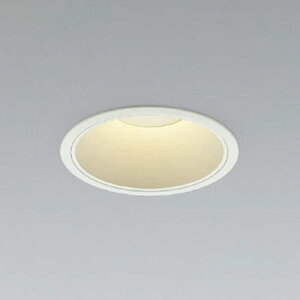 AD58373 �R�C�Y�~�Ɩ� �_�E�����C�g ��������125 FHT32W×2������ �d���F 3000K 2500lm�N���X