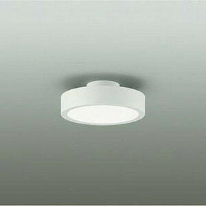 DCL41963A ����d�@ �_�E���V�[�����O���C�g ���M�����60W���� �����F ���|�V�[�����O�^�C�v DCL-41963A